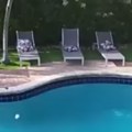 Turistkinja se u sred noći šunjala oko bazena Kad su gosti hotela videli šta radi, nastao totalni haos, kamera sve snimila…