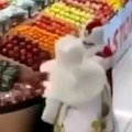 Брука у Бакуу: Туча Деда Мразова у продавници, људи гледају и не верују шта виде