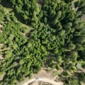 Evo koliko košta plac na Zlataru! Oglas za prodaju podigao prašinu: Ova srpska planina postaje nova "zlatna koka" (foto)