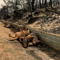 Ванредно стање на југу Родоса због пожара, највећа евакуација икада у Грчкој