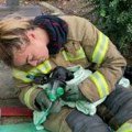 Štencima dali maske za kiseonik: Požar u Engleskoj: Stanovništvo evakuisano, životinje spasene brzom akcijom vatrogasaca…