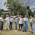 Zajedno za zeleniji Beograd: MOL Serbia nastavila inicijativu sadnje drveća