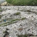 (Foto/video) grad veličine oraha uništio jug Srbije Meštani ostali bez ičega, nevreme sve sravnilo sa zemljom: "Pedeset godina…