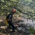 Kragujevački vatrogasci pomažu u gašenju požara na istoku Srbije