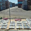 Velika zaplena kokaina i marihaune u Novom Sadu: U vozilu nađeno 85 kilograma "brendirane" droge, uhapšena trojica