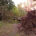 Posledice olujnog vetra u Šumadiji - bez struje 12.000 potrošača, spaseno šest osoba u Kragujevcu