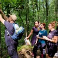 Završen ekološki kamp "EkoLo FEST 2023" u tršiću: Obeleženo dvadesetak kilometara šumskih staza