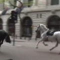 Drama u Londonu: Odbegli konji zbacili jahače pa izazvali haos, trče ulicama umrljani krvlju (video)
