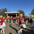 Zlatibor domaćin karavana 56. Praznika mimoze