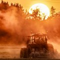 Seljak obrađivao njivu, a onda otkrio 600 miliona dolara zakopanih ispod zemlje