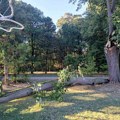 Ode slovo "B": Velika grana oštetila ukrasnu instalaciju u Banji Koviljači (foto)