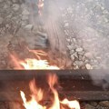 Požar između Male Krsne i Požarevca: Železnički saobraćaj bio u prekidu četiri sata