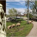 Biciklom kroz vojvodinu: Višnjićevo (2) Od tihih ulica do narodnog eposa, selo koje je očuvalo duh Filipa Višnjića