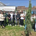 Velika ekološka akcija: Uređuju se školska dvorišta i sade nova stabla