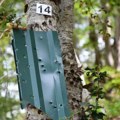 (Foto) Vežbali pucanje i planirali novu likvidaciju?! U toku potraga za Zvicerovim saradnikom: U tajnoj vikendici nađen…