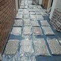Novosadska policija zaplenila 58 kilograma marihuane, uhapšen Beograđanin