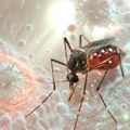 Opasan virus se širi: Sve više umrlih u Grčkoj, prvi smrtni slučaj i u Severnoj Makedoniji