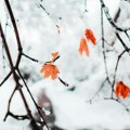 VREME DANAS: Oblačno i hladno, mestimično susnežica i sneg