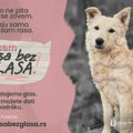 "Rasa bez glasa": Poziv na podršku napuštenim životinjama