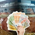 Država je najveći investitor u stočarstvu. Odgajivači smatraju da treba obezbediti uslove za izvoz govedine u Evropsku uniju.…