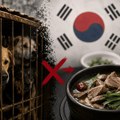 U Južnoj Koreji više neće jesti pse: Gasi se kontroverzna industrija psećeg mesa
