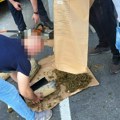 Turski državljanin pokušao da prokrijumčari preko 23 kilograma marihuane
