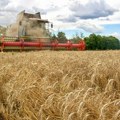Evropski strah od ‘nove ovisnosti’ zbog jeftinog ruskog žita