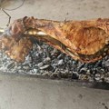 Šeki-KRALJ PEČENJA! Ovo treba da se proba