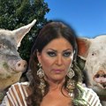 "Ceca će uništiti svetinju ako izgradi farmu svinja" Meštani pobesneli: "Ne dao Bog da to uradi, samo preko nas mrtvih! Stići…