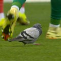 (VIDEO) Doneo im sreću: Golub prizvao gol i pobedu Majnca