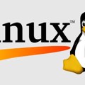 Prvih deset dana na Linuxu treba iskoristiti za navike, ne za paniku