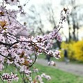 Zaboravite na IT i maline: Balkanac pokrenuo biznis iz garaže sa 300 evra, danas mesečno zgrće ozbiljnu zaradu na…