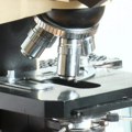 У Србији се годишње открије око 520 случајева мултиплог мијелома