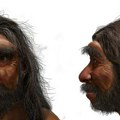 Homo longi i Denisovci: Misteriozna veza iz prošlosti koja menja sva naša saznanja