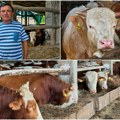 Porodica Gava iz Deliblata zaokružila proces proizvodnje Gazda Mugurel ore 700 hektara i tovi 120 bikova