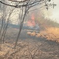 Veliki požar kod Aranđelovca: Gori 50 hektara šume, vatrogasci se satima bore sa vatrenom stihijom (foto, video)