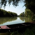 (Foto): Jeziva fotografija deli se društvenim mrežama, iza svega stoji vradžbina!? Ljudi zgroženi i šokirani onim što je…