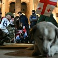 Završen miting opozicije u Tbilisiju, među prisutnima primećena i Greta Tunberg /video, foto/