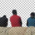 Uhapšena trojica Zrenjaninaca: Pokušali u kombiju da prokrijumčare 37 migranata