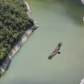Počelo podnošenje zahteva za podršku projektima u zaštićenim područjima
