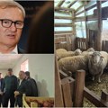 Novi zakoni, izvozna tržišta i jačanje stočarstva: Ovo je učinak ministarstva poljoprivrede, vodoprivrede i šumarstva za…