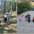 U okviru programa „Za čistije i zelenije škole u Vojvodini” đacima nagrada izlet u Sremske Karlovce
