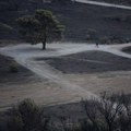 Šumski požar na severu Grčke i dalje van kontrole