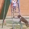 Ko kaže da je tobogan samo za decu /video/