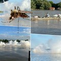 I sa vode i sa zemlje: Suzbijanje komaraca u Beogradu nastavlja se i danas