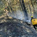 Lokalizovano više požara širom Srbije: Gorela velika šumska područja, evo gde su sve intervenisali vatrogasci!