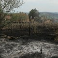 Požari u Srbiji: Uzroci, posledice i lekcije koje nadležni ne uče
