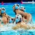 Srbija - Italija, uživo: Još osam minuta do finala Evropskog prvenstva