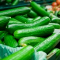 Veći prinos uz manje rada - Trik za uzgoj krastavaca koji daje odlične rezultate
