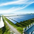 Neobičan prizor: 5.150 solarnih panela visi iznad stabala, a evo zašto su postavljeni na tačno 4 metra visine